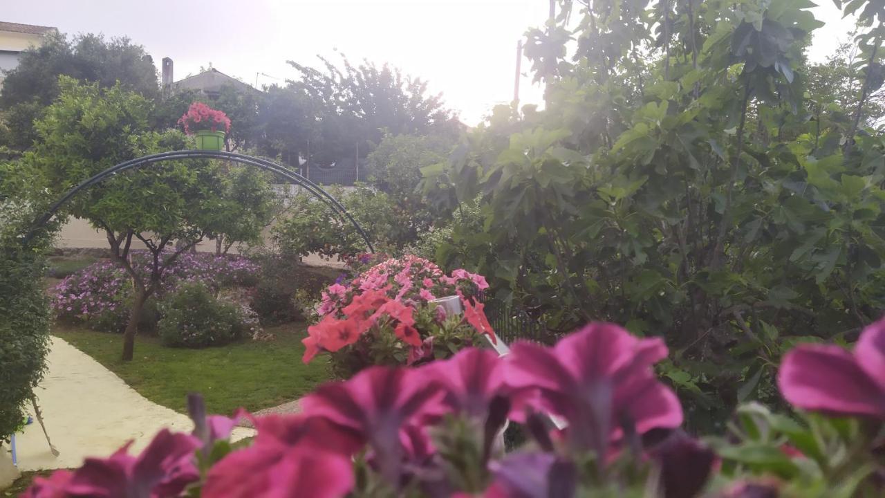 Summer Village House Popi Kanakádes Екстериор снимка