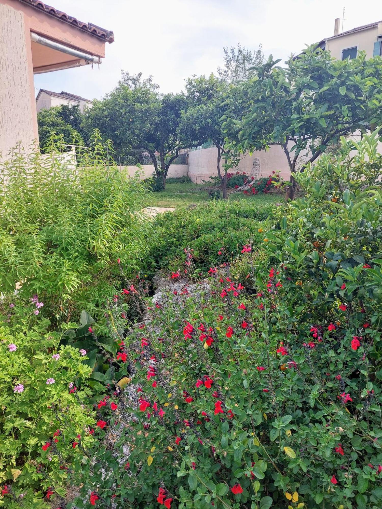 Summer Village House Popi Kanakádes Екстериор снимка