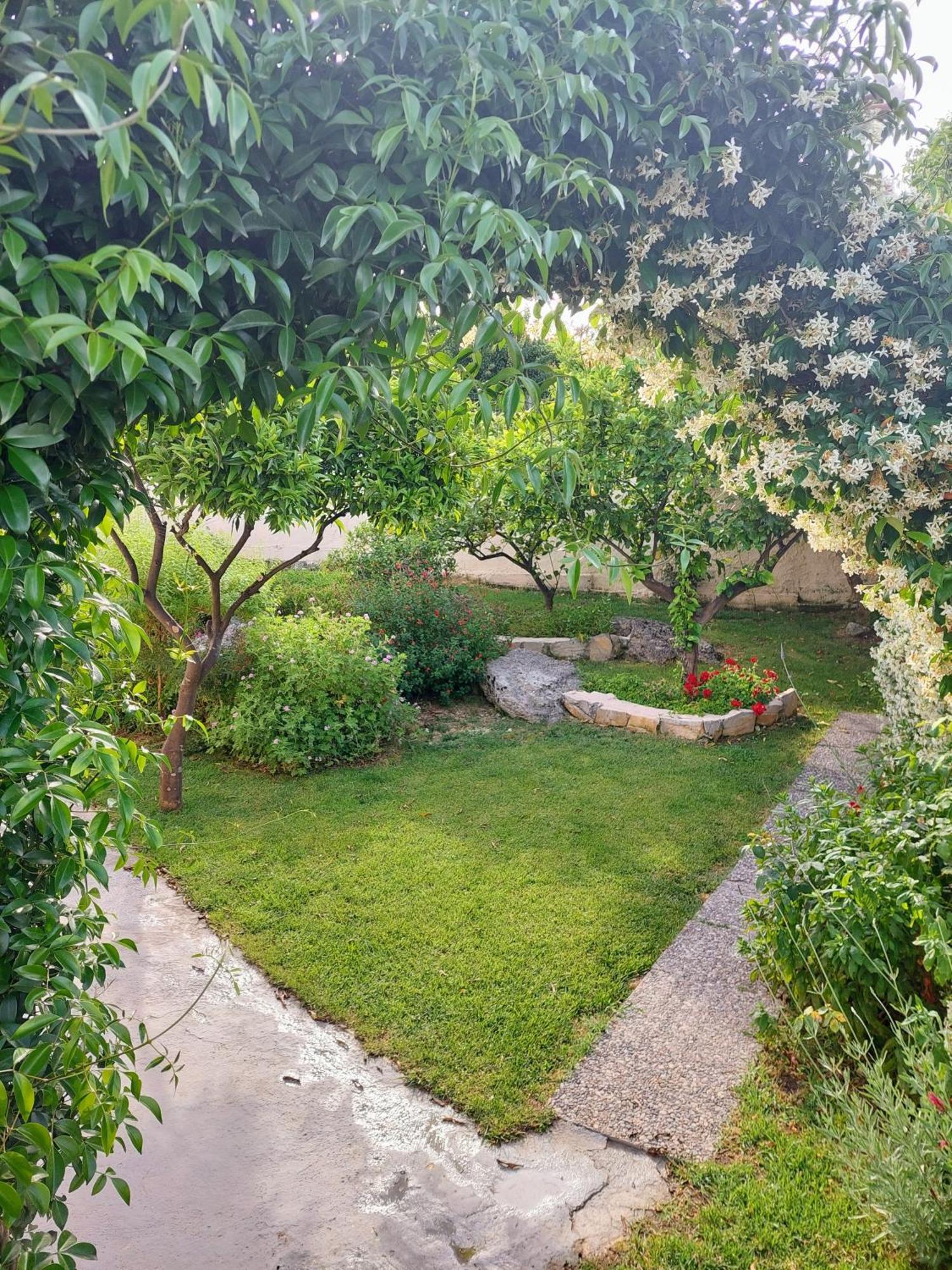 Summer Village House Popi Kanakádes Екстериор снимка
